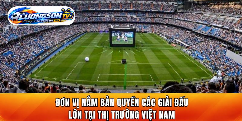 Đơn vị nắm bản quyền các giải đấu lớn tại thị trường Việt Nam
